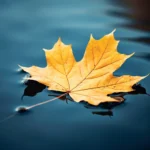 Shocked and confession men