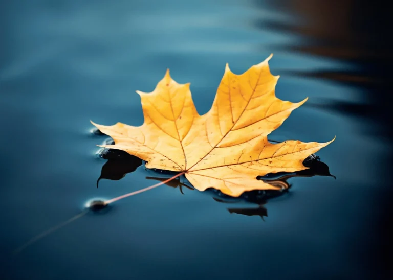 Shocked and confession men